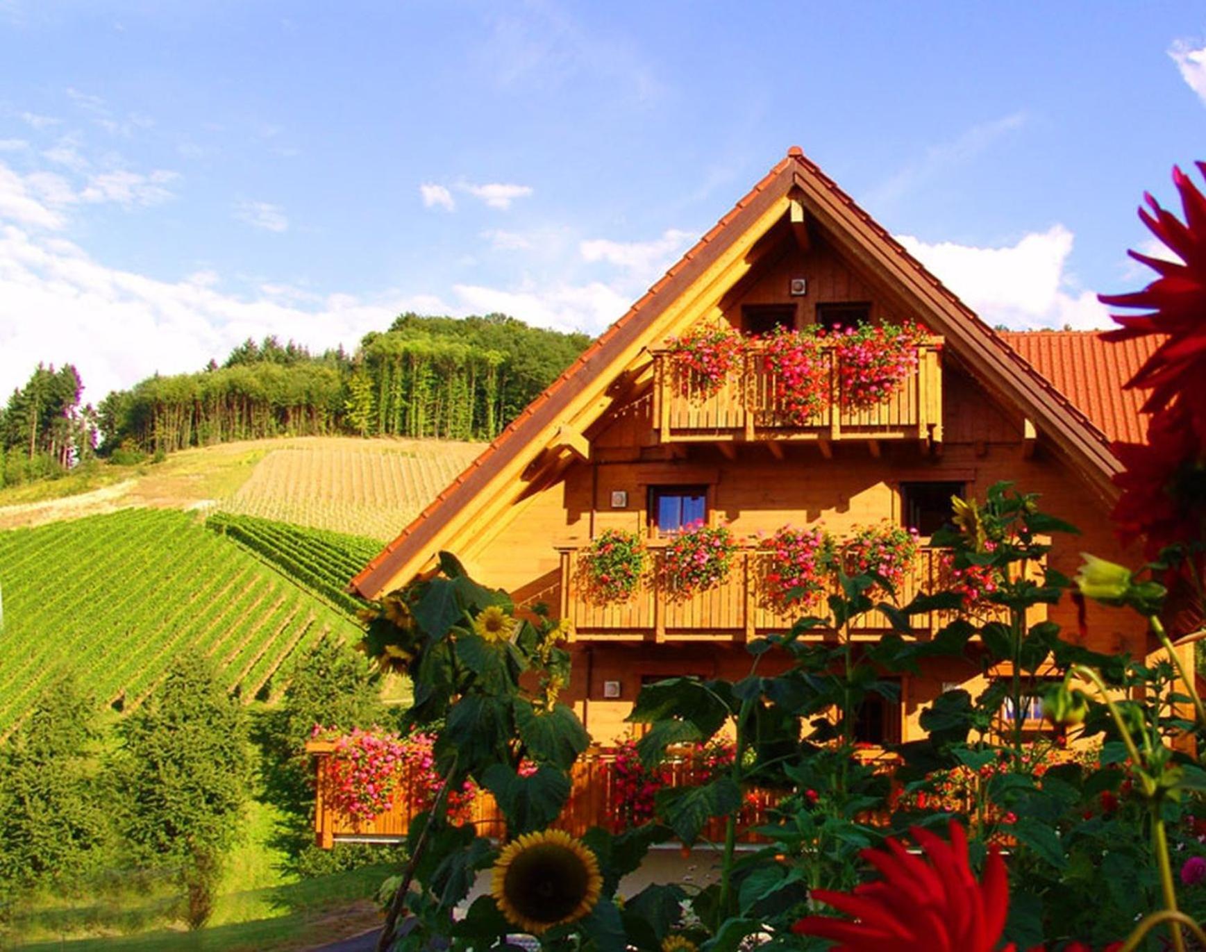 Apartment Weingut Und Josef Huber *