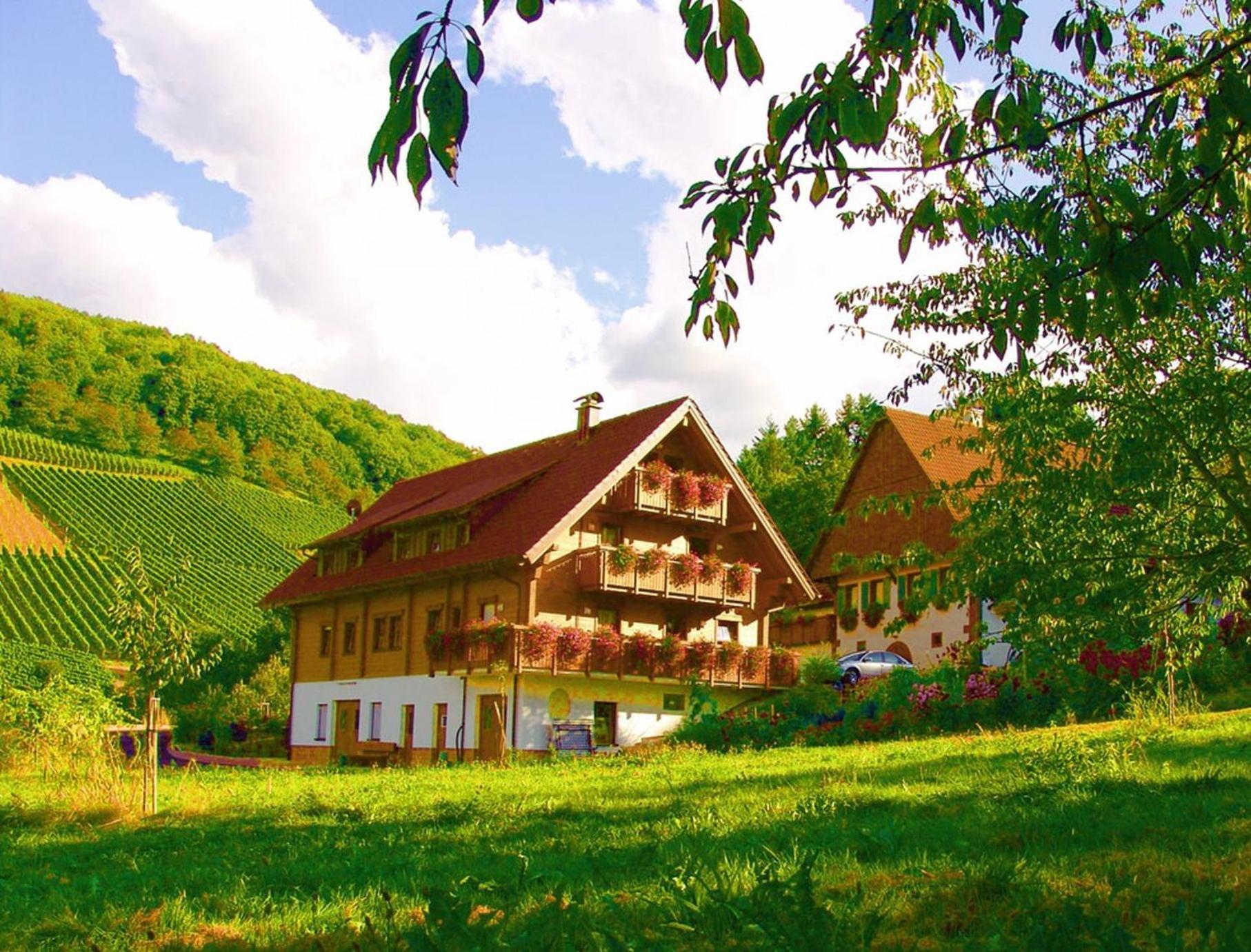 Weingut Und Josef Huber Apartment Oberkirch (Baden)